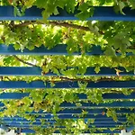 Πανσιόν Angeliki's