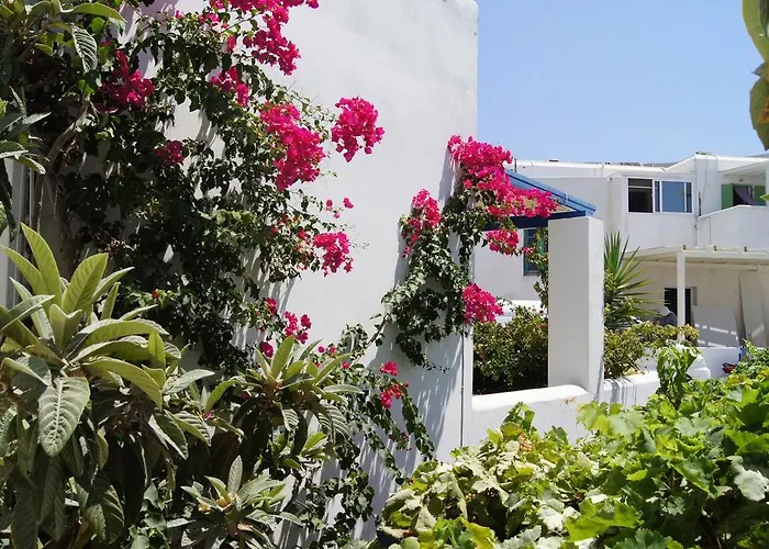 Angeliki's Πάρος