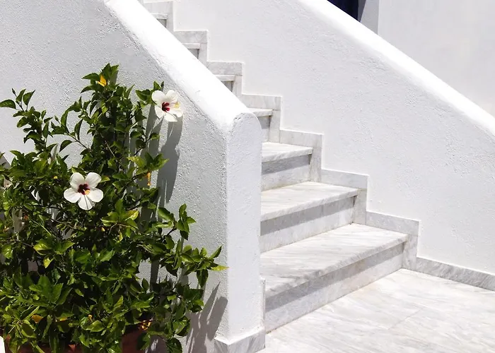 Πανσιόν Angeliki's Πάρος